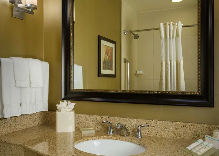 Hotel Hilton Garden Airport North 3*