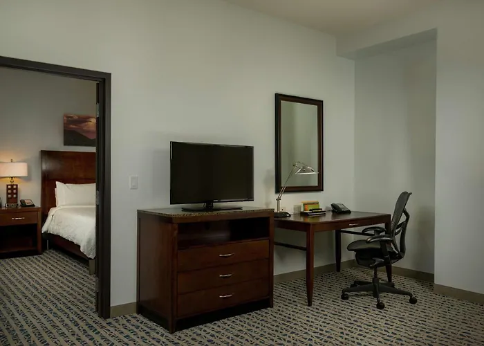 Hilton Garden Airport North Hotel Phoenix