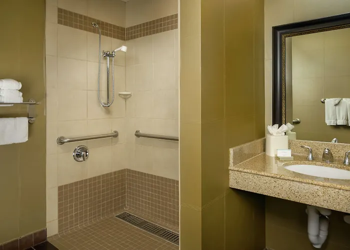 Hilton Garden Airport North Hotel Phoenix